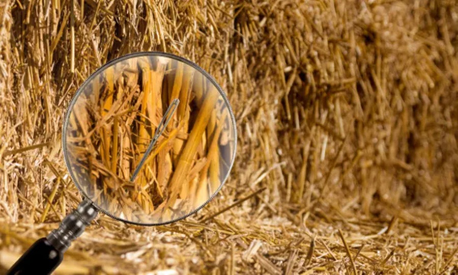 Haystack Privacy Browser interface