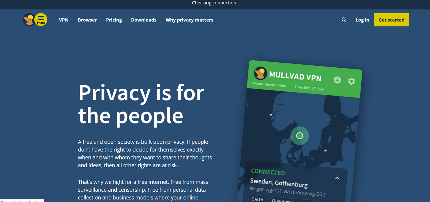 Mullvad VPN logo placeholder